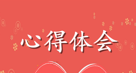 2021政法队伍教育整顿心得体会