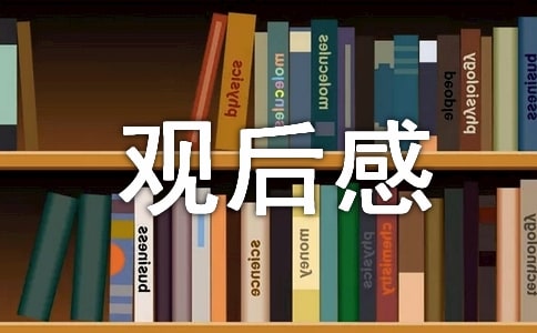 观看亲爱的观后感范文三篇