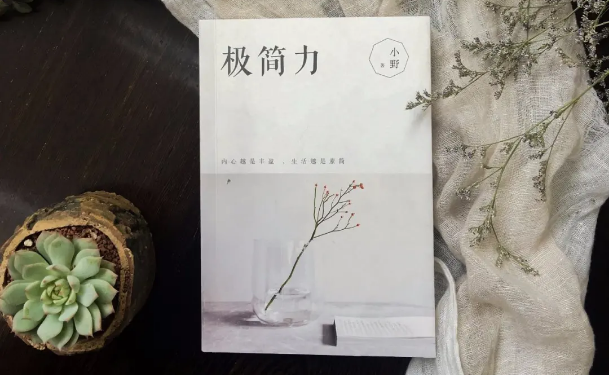 《极简力》读书心得体会范文