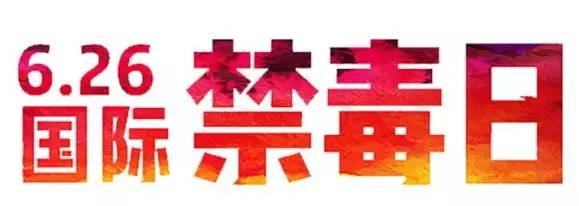 国际禁毒日个人发言材料