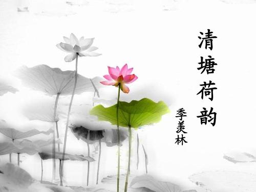 《清塘荷韵》读后感范文参考