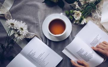 《老人与海》读后感范文参考