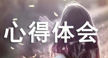 有关执行力心得体会汇总五篇
