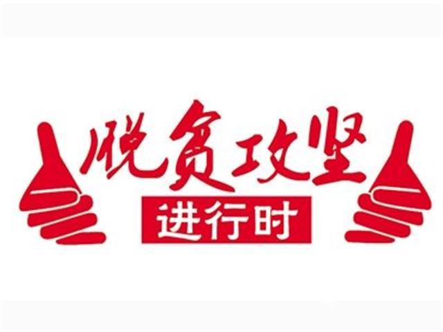 村脱贫攻坚方案