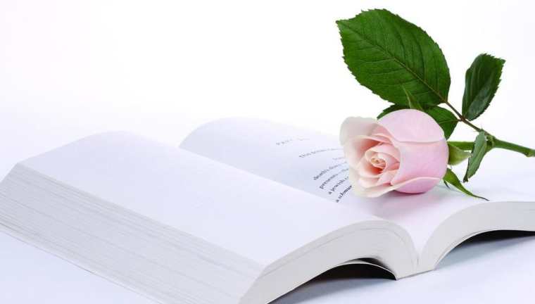 鉴定百年，党员重温延安精神心得感悟