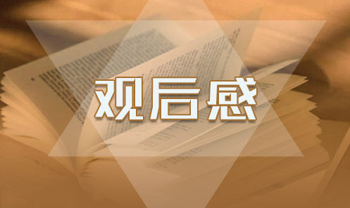 电影《守岛人》观后感范文五篇