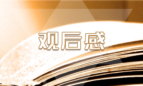 家庭教育与网络安全心得感悟