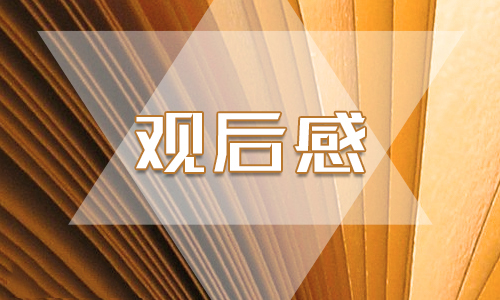 防近视节目《对话》观后感范文