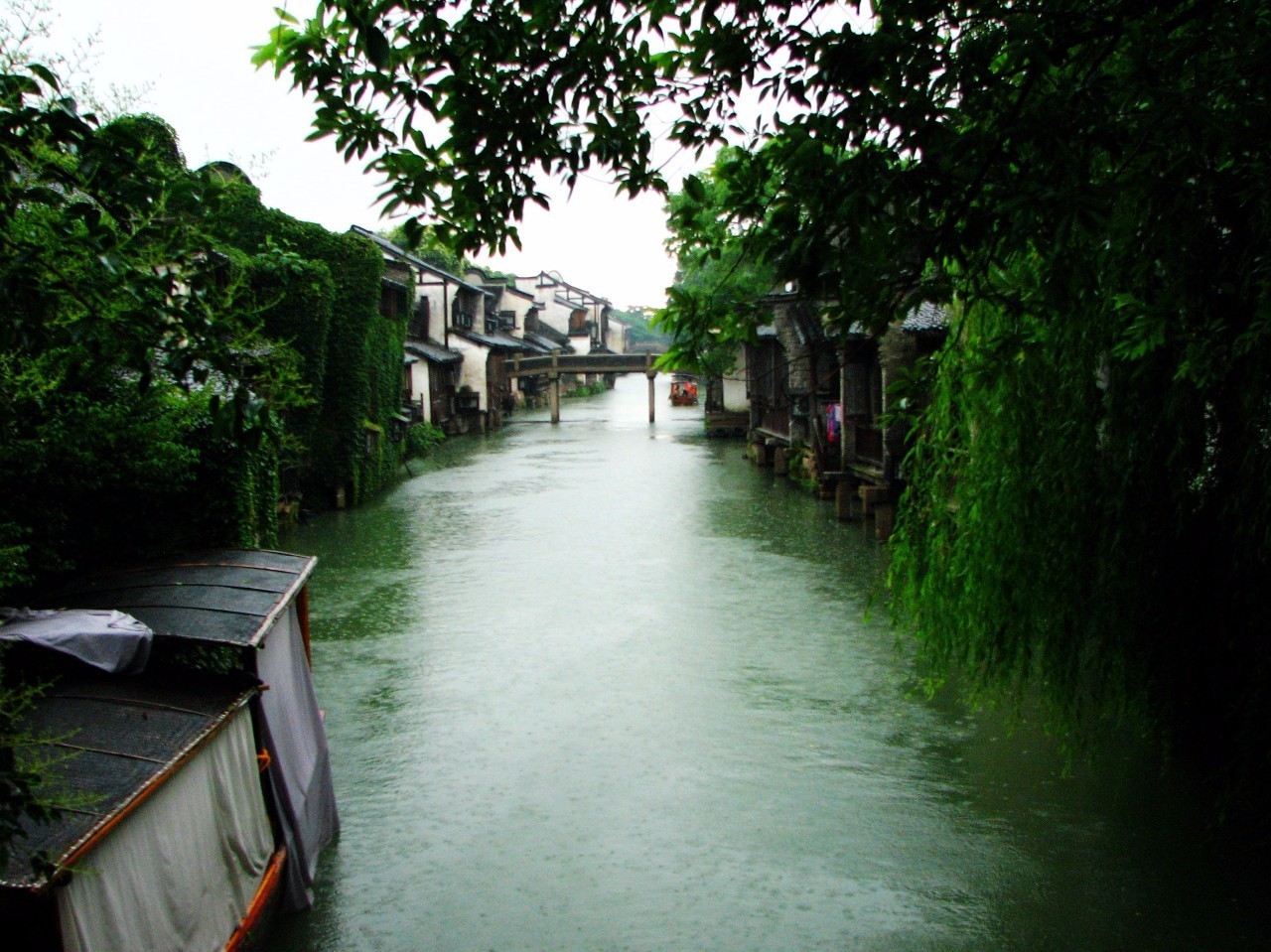 雨后感悟写作随笔