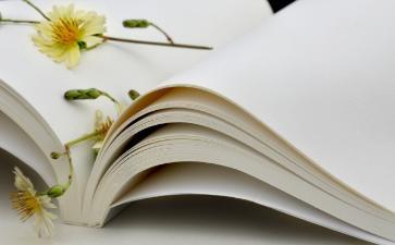 《中学英语阅读课程与教学》学习心得