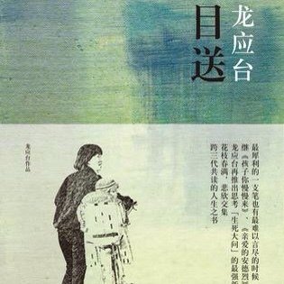 目送读后心得体会锦集