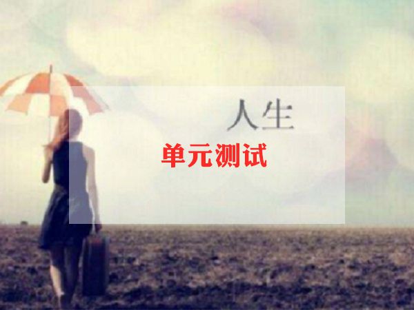 测试员个人工作总结3篇
