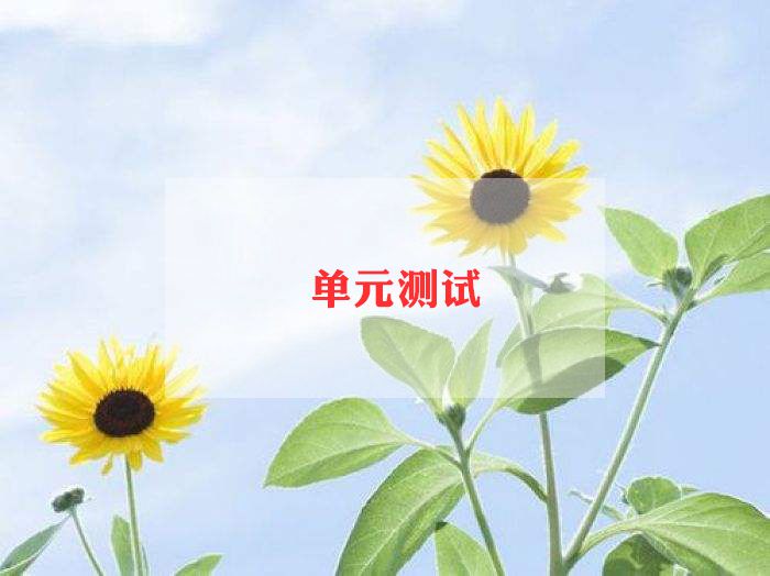 软件测试年度工作总结6篇