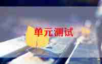 测试的年终总结6篇