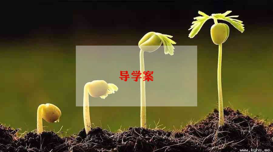 幼儿园中班体育教案5篇