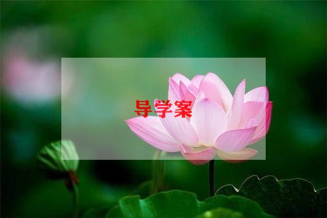幼儿园小班语言教案5篇