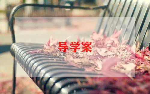幼儿园体育教案5篇