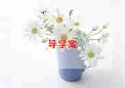 小学体育教案一年级5篇