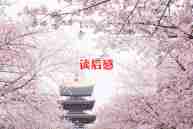 关于书读后感的作文7篇