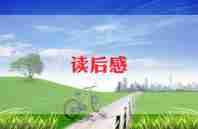风筝鲁讯读后感6篇