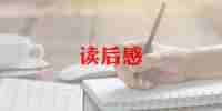 看《红楼梦》读后感7篇