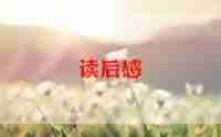 纸的故事读后感400字通用6篇