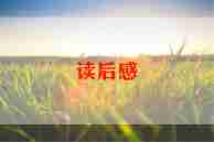 渔夫们的读后感7篇