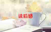 风筝鲁讯读后感6篇