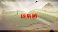 中层领导读后感7篇