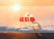 读《装在口袋里的爸爸》读后感5篇