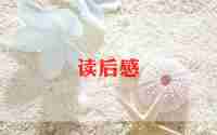 渔夫们的读后感7篇