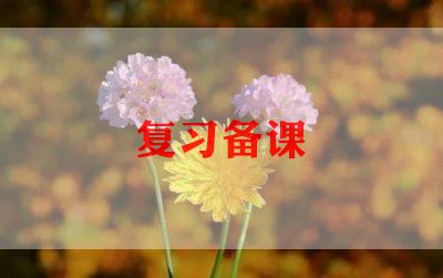 小学教师备课教案5篇