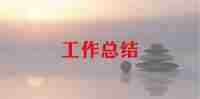 2024讲解员个人总结7篇