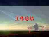 2024年销售顾问工作总结推荐6篇