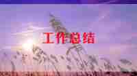 2024年小学美术工作总结优秀8篇