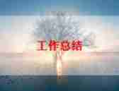 设计师月工作总结5篇