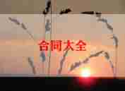 乘用车租赁合同参考8篇