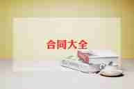 公司给个人借款合同模板8篇