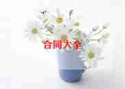 c类劳动合同模板8篇