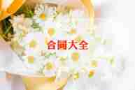 品牌店转让合同推荐8篇
