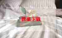 直树节教案最新6篇