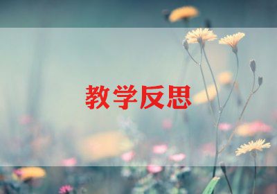 小学教师总结与反思6篇