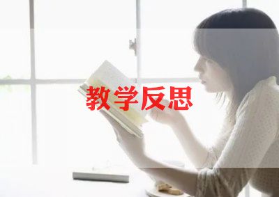 过新年教案反思5篇