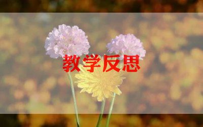 小小熊教案反思7篇