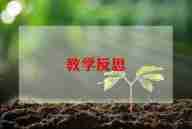 体育课跑的教学反思优质8篇