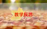 信息课教学反思最新范文5篇