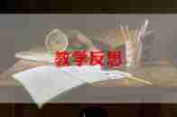 总结与反思作文7篇