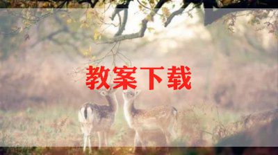 化学备课组学期工作计划5篇