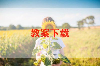 八年级数学备课组长工作总结5篇