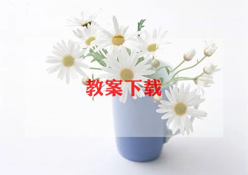 寒假政治教学计划范文4篇